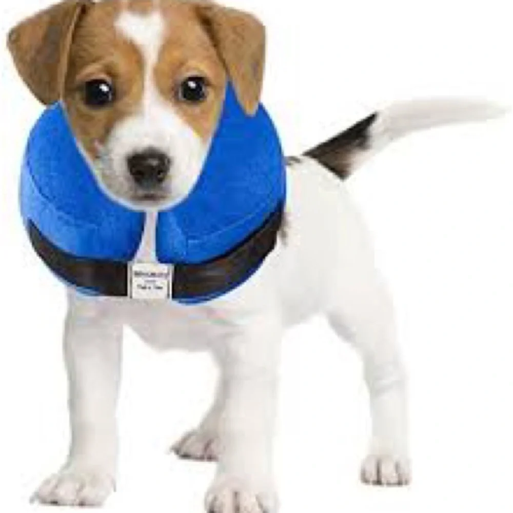 Katoggy | inflatable dog collar size small